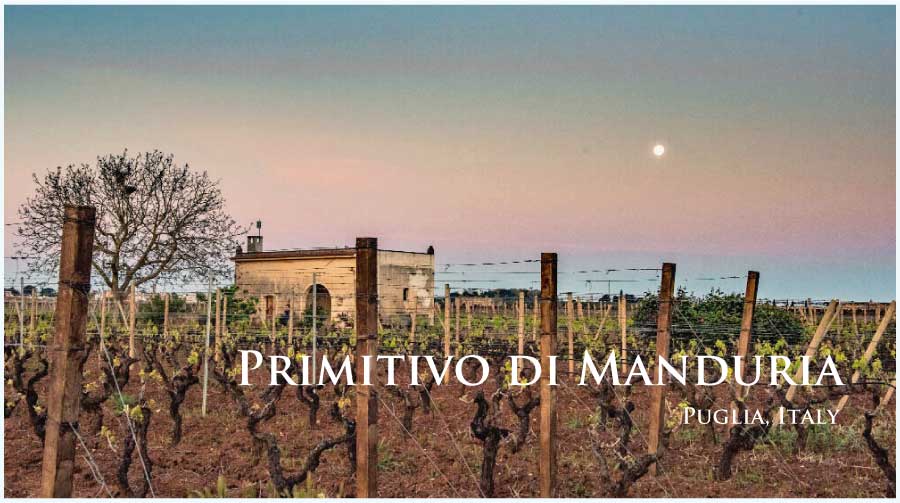 プリミティーヴォ・ディ・マンドゥーリア (Primitivo di Manduria) プリミティーヴォ・ディ・マンドゥーリア (Primitivo di Manduria)
