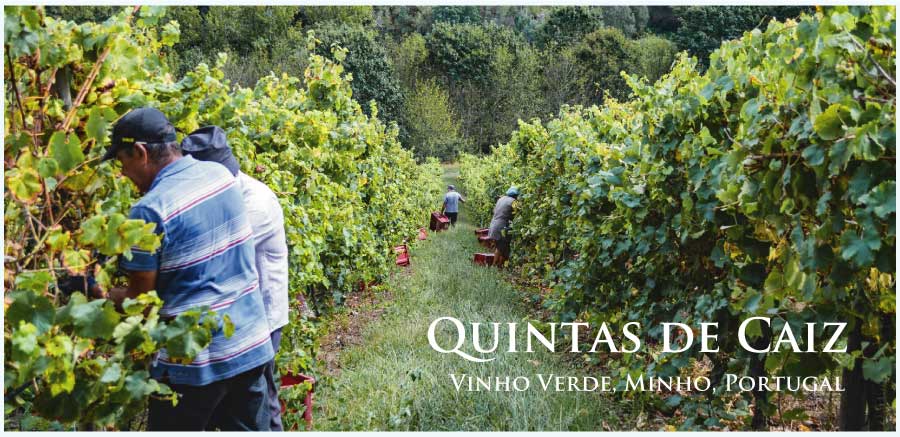 キンタス・デ・カイズ (Quintas de Caiz) ポルトガル、ヴィーニョ・ヴェルデ