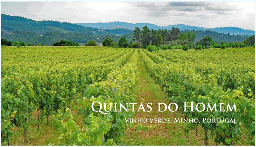 キンタス・ド・オーメン (Quintas do Homem) ポルトガル、ミーニョ