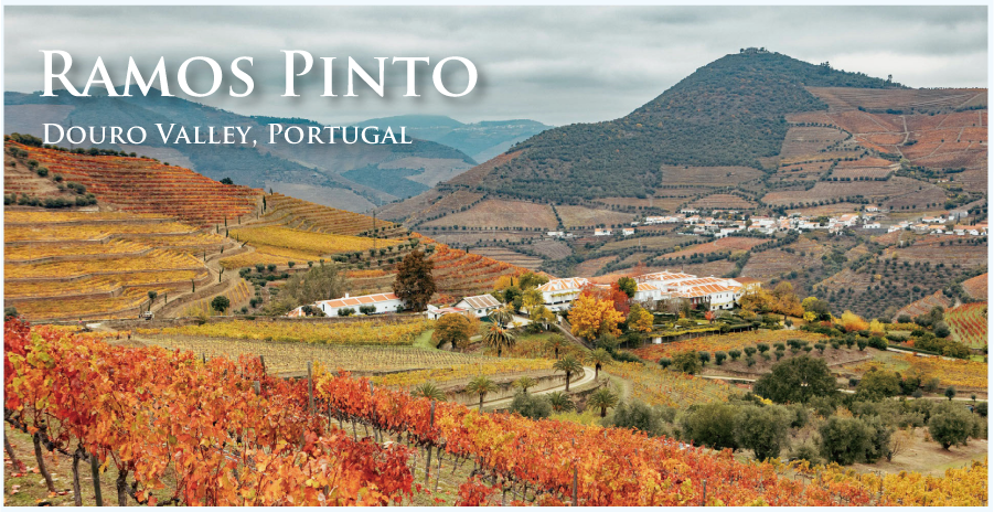 ポルトガル・フランスワインなど各国ワイン通販　レ・ブルジョン　ラモス・ピント　ぶどう畑