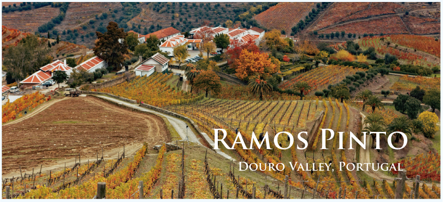 ポルトガル・フランスワインなど各国ワイン通販　レ・ブルジョン　ラモス・ピントのぶどう畑