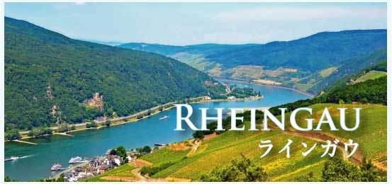 ラインガウ (Rheingau)