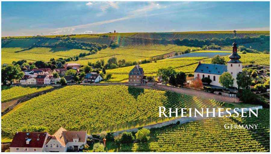 ラインヘッセンのぶどう畑　（ドイツ・ラインヘッセン）