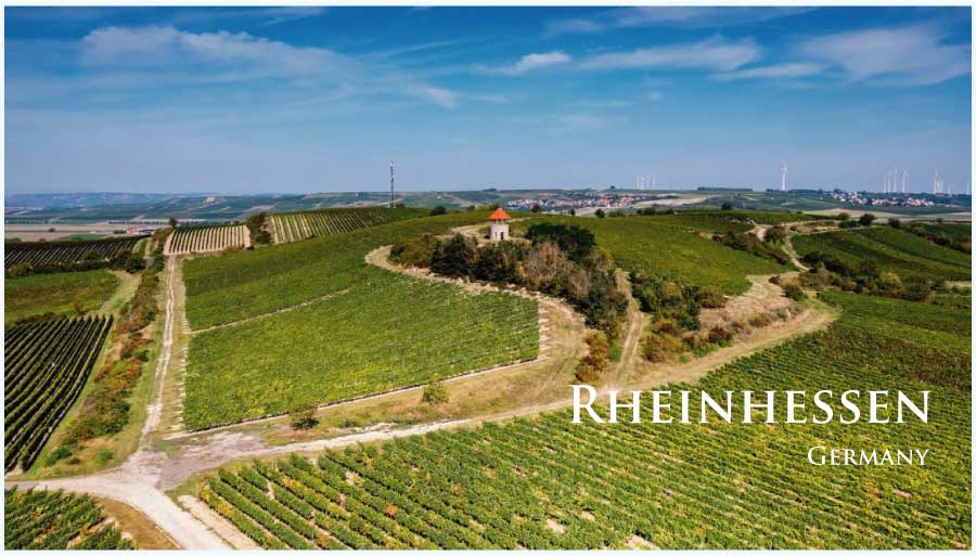 ラインヘッセンのぶどう畑　（ドイツ・ラインヘッセン）