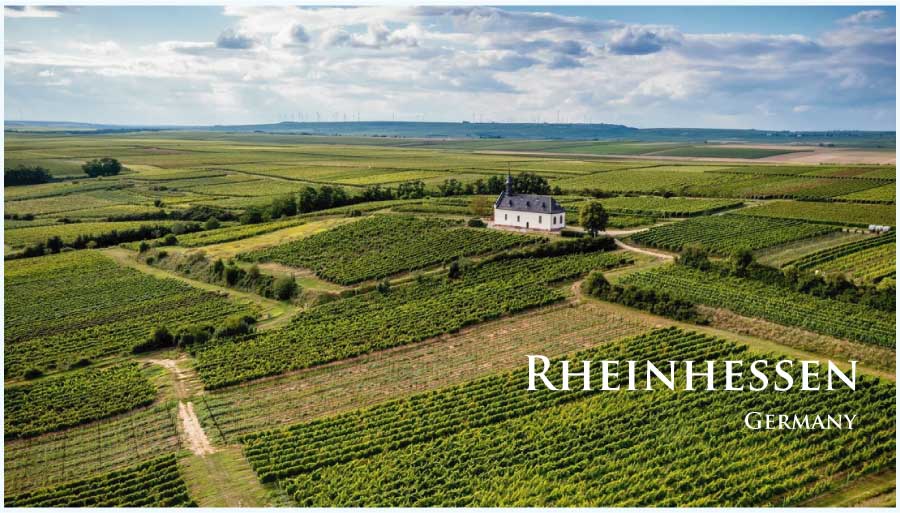 ラインヘッセンのぶどう畑　（ドイツ・ラインヘッセン）