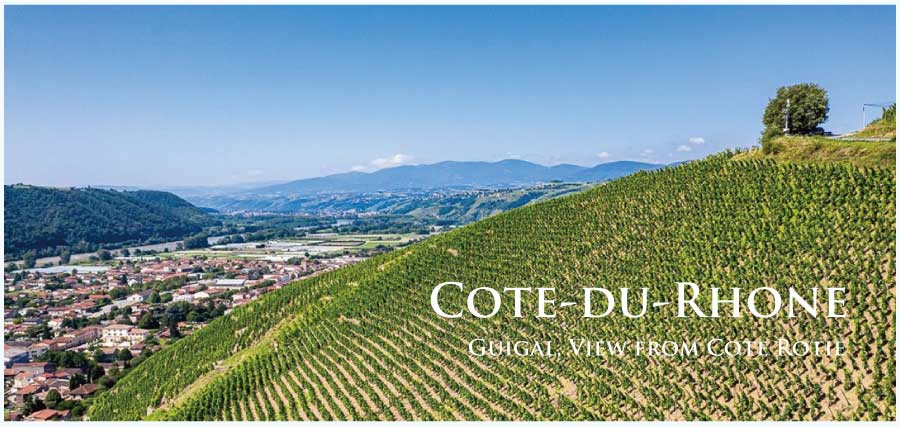 フランス・ワイン産地、コート・デュ・ローヌ、コート・ロティのぶどう畑