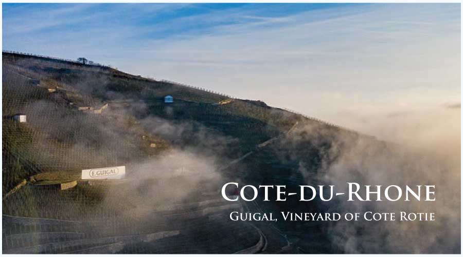 フランス・ワイン産地、コート・デュ・ローヌ、コート・ロティのぶどう畑