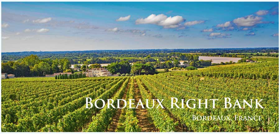 フランス・ワイン産地、ボルドー右岸のぶどう畑