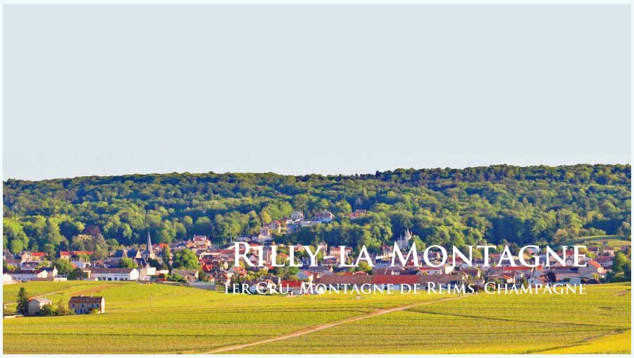 リリー・ラ・モンターニュ (Rilly-la-Montagne) リリー・ラ・モンターニュ (Rilly-la-Montagne)