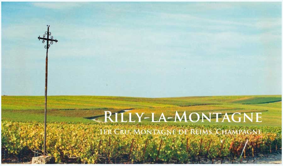 リリー・ラ・モンターニュ (Rilly-la-Montagne) リリー・ラ・モンターニュ (Rilly-la-Montagne)