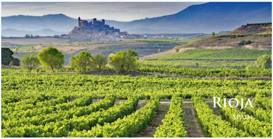 リオハ (Rioja) ワイン通販 レ・ブルジョン
