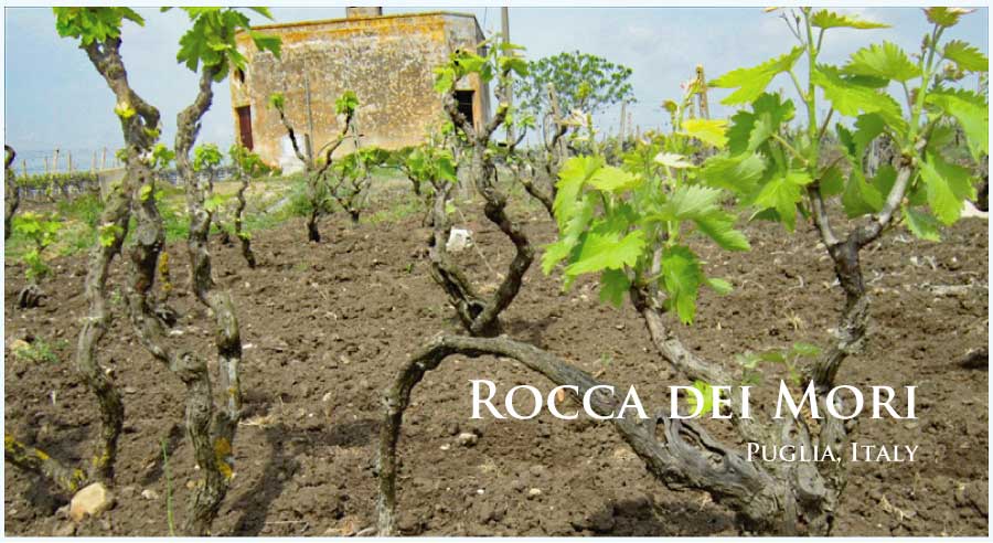 ロッカ・デイ・モリ (Rocca dei Mori) イタリア、プーリア、サレント