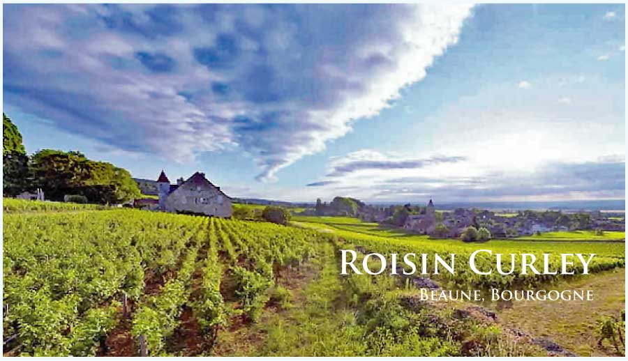 ロウシーン・カーリー (Roisin Curley) フランス、ブルゴーニュ