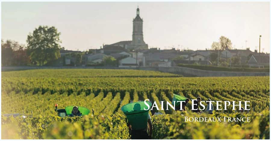 フランス・ワイン産地、サン・テステフのぶどう畑