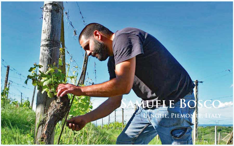 サムエレ・ボスコ (Samuele Bosco) イタリア、ピエモンテ、ランゲ