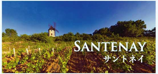 サントネイ (Santenay)