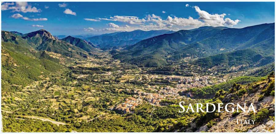 イタリア・ワイン産地、サルデーニャのぶどう畑 イタリア・ワイン産地、サルデーニャのぶどう畑