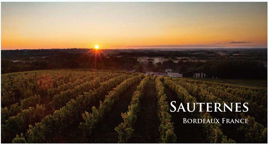 フランス・ワイン産地、ソーテルヌのぶどう畑