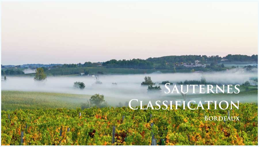 ボルドー、ソーテルヌ格付け (Bordeaux, Sauternes Classification)