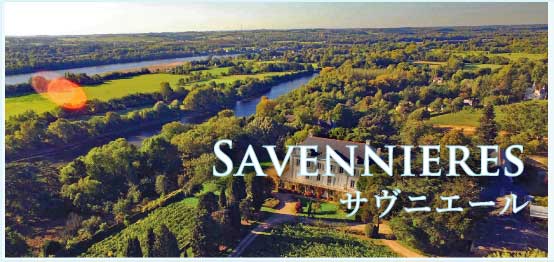 サヴニエール (Savennieres)