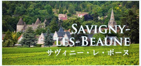 サヴィニー・レ・ボーヌ (Savigny-les-Beaune)