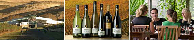 ポルトガル・フランスワインなど各国ワイン通販　レ・ブルジョン　ニュージーランド　シレーニのテイスティング