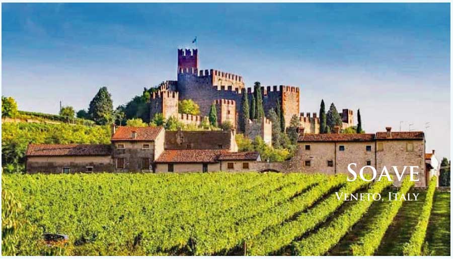 イタリア、ヴェネト、ソアヴェのぶどう畑 イタリア、ヴェネト、ソアヴェのぶどう畑