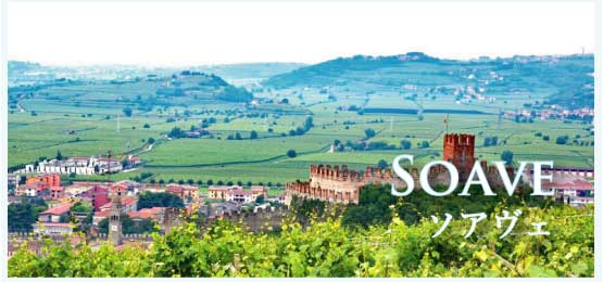 ソアヴェ (Soave)