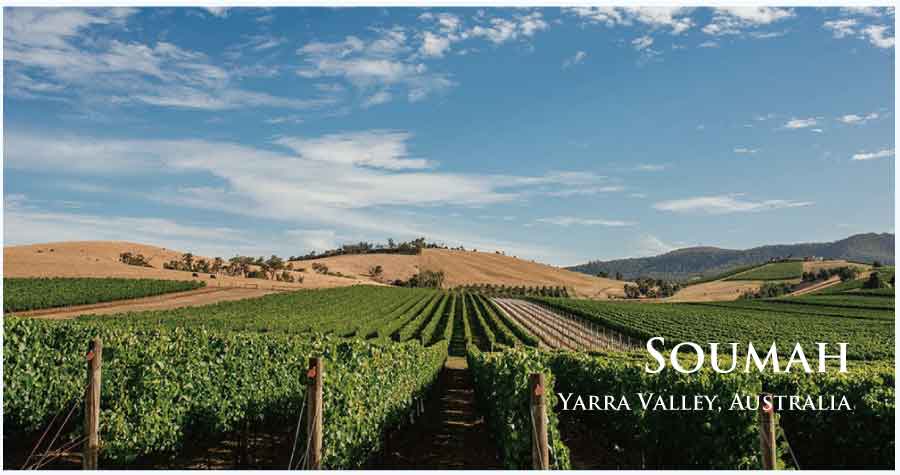 ソウマ (Soumah) オーストラリア、ヴィクトリア、ヤラ・ヴァレー