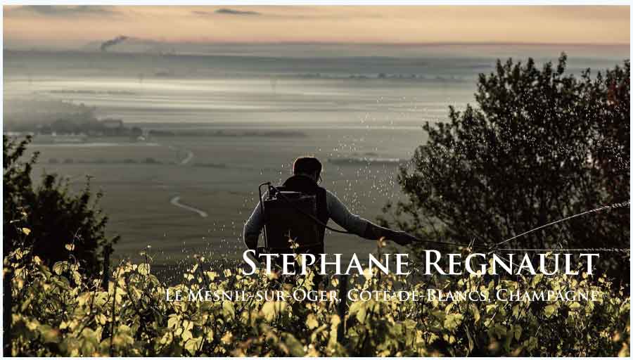 ステファンヌ・ルニョー (Stephane Regnault) フランス、シャンパーニュ