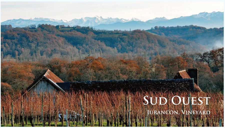フランス・ワイン産地、シュド・ウエストのぶどう畑