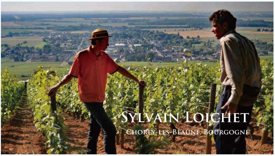 シルヴァン・ロワシェのぶどう畑