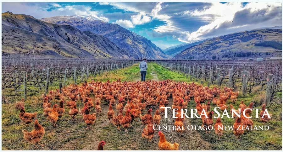 テラ・サンクタ (Terra Sancta)