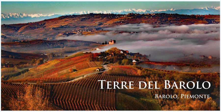 テッレ・デル・バローロ (Terre del Barolo)