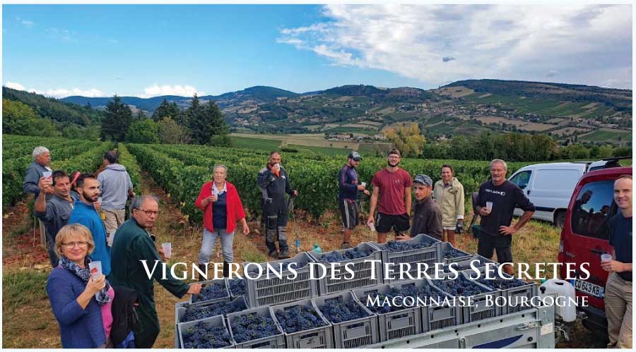 ヴィニュロン・デ・テール・セクレット (Vignerons des Terres Secretes)