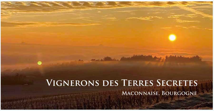 ヴィニュロン・デ・テール・セクレットのぶどう畑