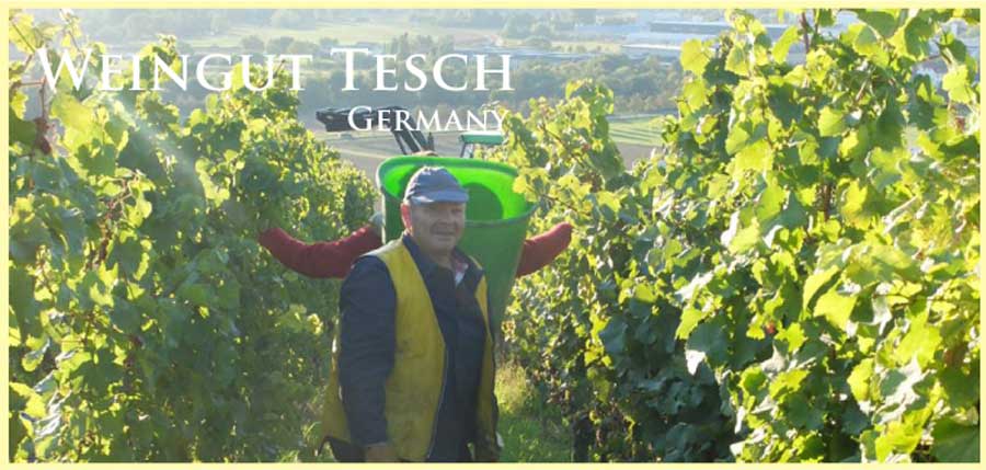 ヴァイングート・テッシュ、ドイツ、ナーエの有力ワイン生産者
