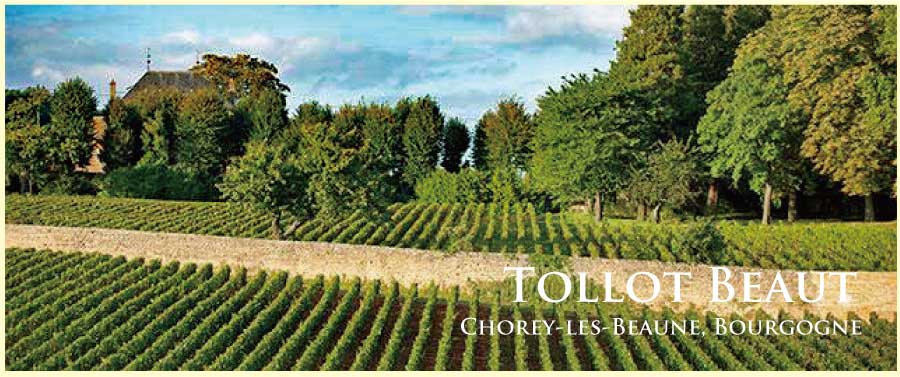 トロ・ボー (Tollot Beaut) トロ・ボー (Tollot Beaut)