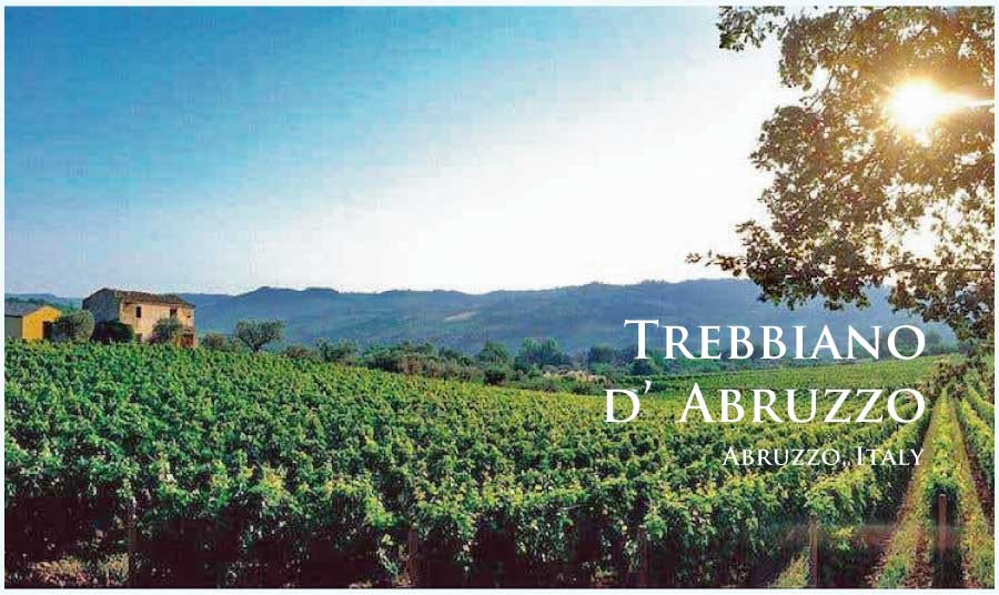 イタリア、アブルッツォ、トレッビアーノ・ダブルッツォのぶどう畑