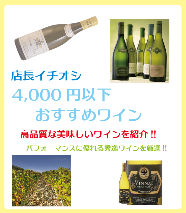 ポルトガル・フランスワインなどワイン通販　お勧めワイン　4,000円まで