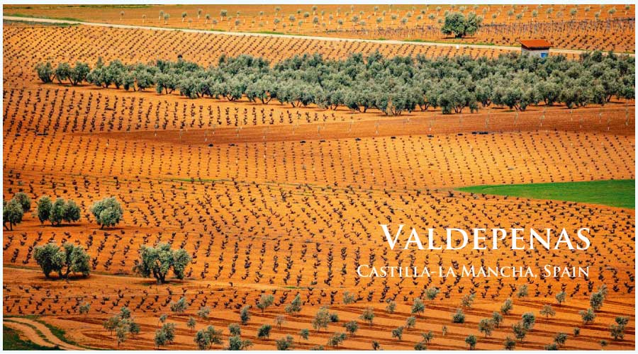 スペイン、カスティーリャ・ラ・マンチャ、ヴァルデペーニャスのぶどう畑