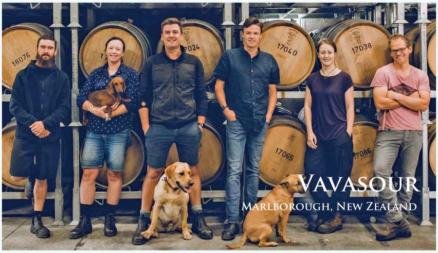 ヴァヴァサワー (Vavasour)