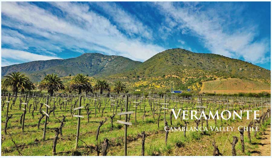 ベラモンテ (Veramonte)