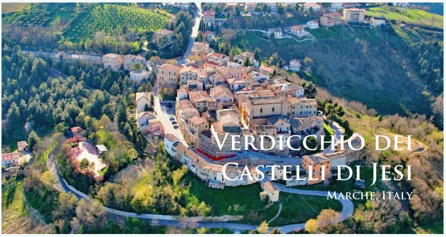 イタリア、マルケ、ヴェルディッキオ・デイ・カステッリ・ディ・イエージのぶどう畑 イタリア、マルケ、ヴェルディッキオ・デイ・カステッリ・ディ・イエージのぶどう畑