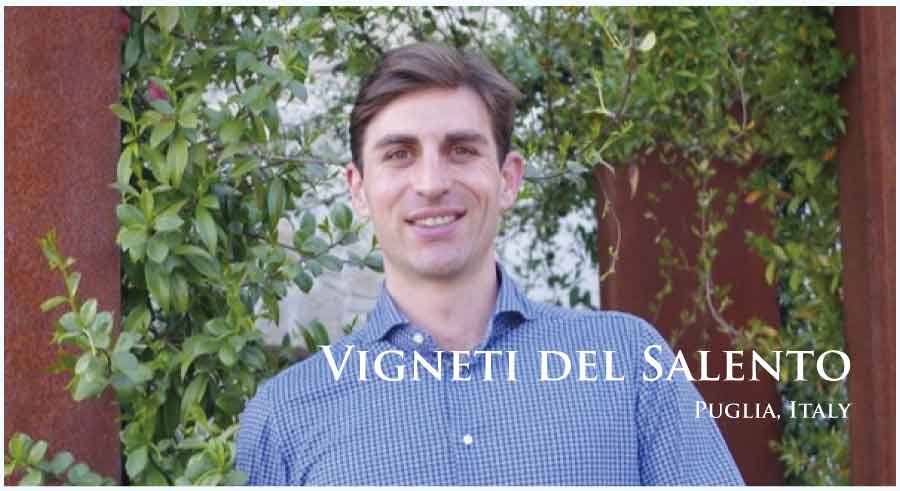 ヴィニエティ・デル・サレント (Vigneti del Salento) イタリア、プーリア ヴィニエティ・デル・サレント (Vigneti del Salento) イタリア、プーリア