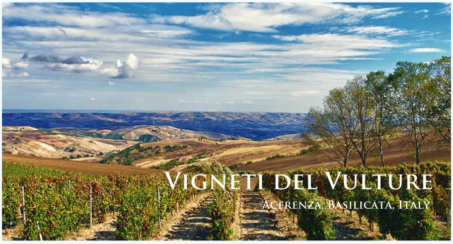 ヴィニエティ・デル・ヴルトゥーレ (Vigneti del Vulture)