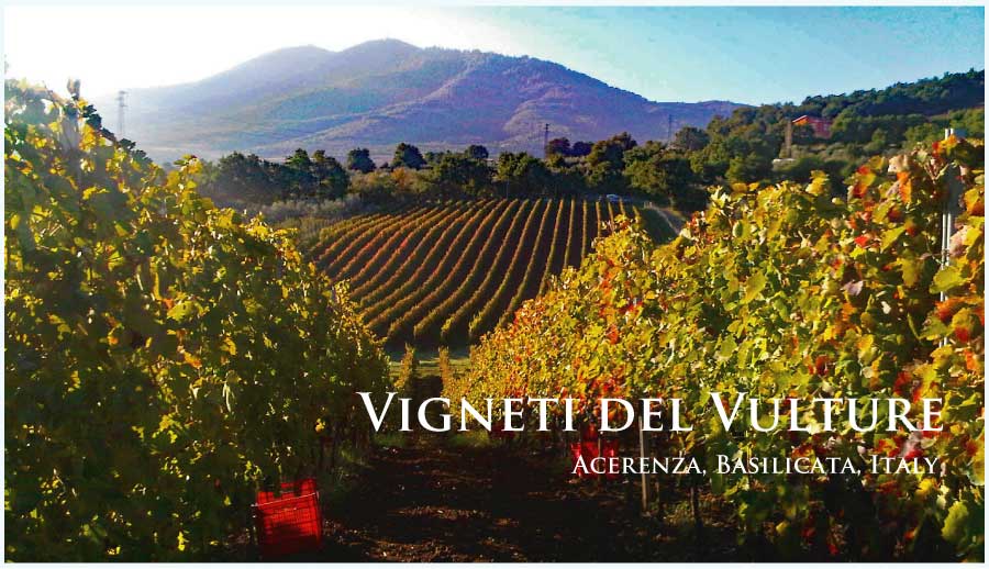 ヴィニエティ・デル・ヴルトゥーレ (Vigneti del Vulture)
