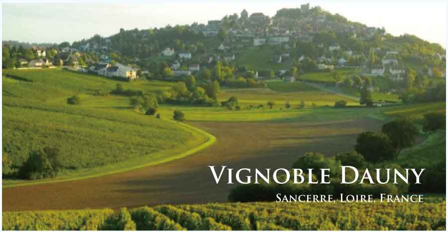 ヴィニョーブル・ドーニー (Vignoble Dauny) フランス、ロワール