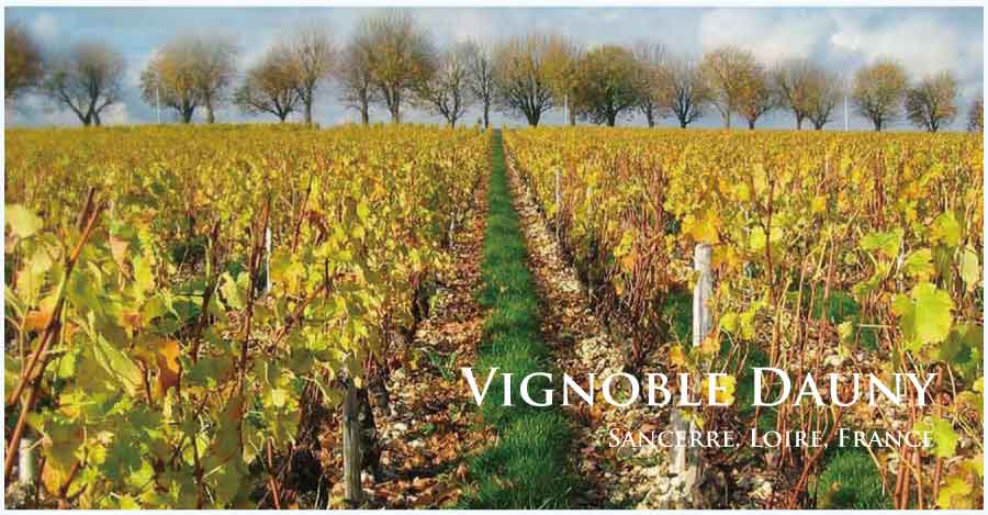 ヴィニョーブル・ドーニー (Vignoble Dauny) フランス、ロワール