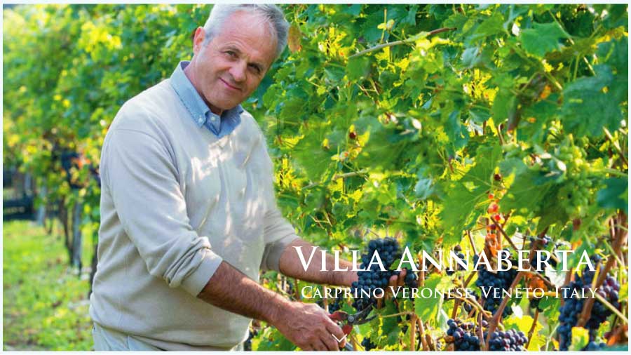 ヴィッラ・アンナベルタ (Villa Annaberta) イタリア、ヴェネト ヴィッラ・アンナベルタ (Villa Annaberta) イタリア、ヴェネト